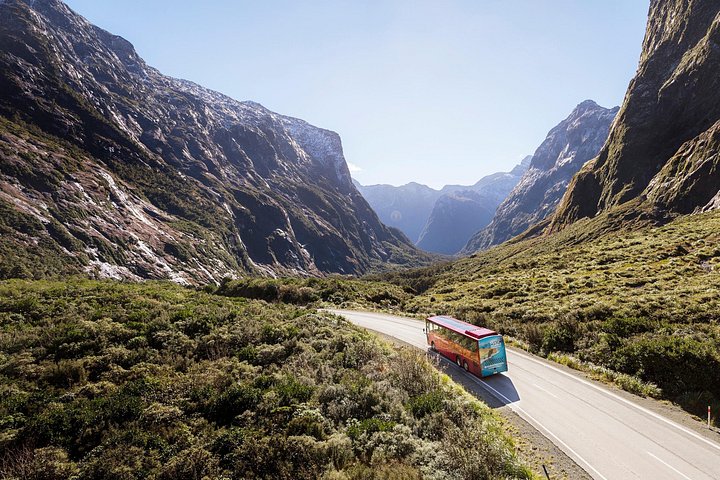 Naturskjønn buss- og cruisetur til Milford Sound fra Queenstown, New Zealand, foto 9 | wizardtrip