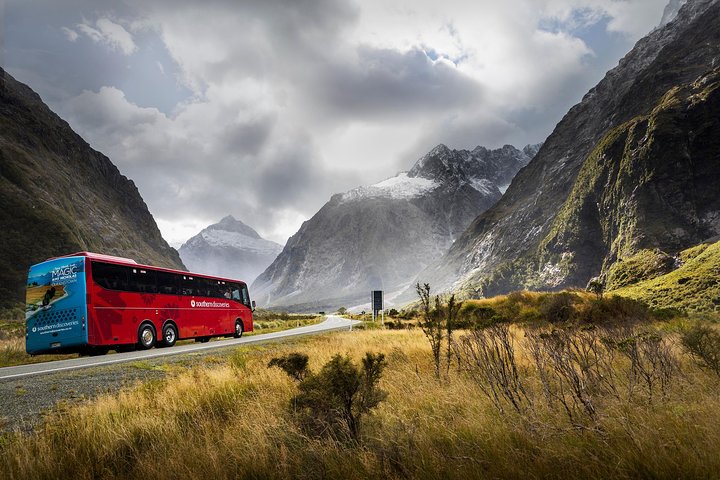 Naturskjønn buss- og cruisetur til Milford Sound fra Queenstown, New Zealand, foto 10 | wizardtrip