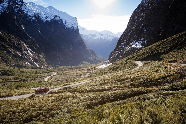 Naturskjønn buss- og cruisetur til Milford Sound fra Queenstown, New Zealand, foto 11 | wizardtrip