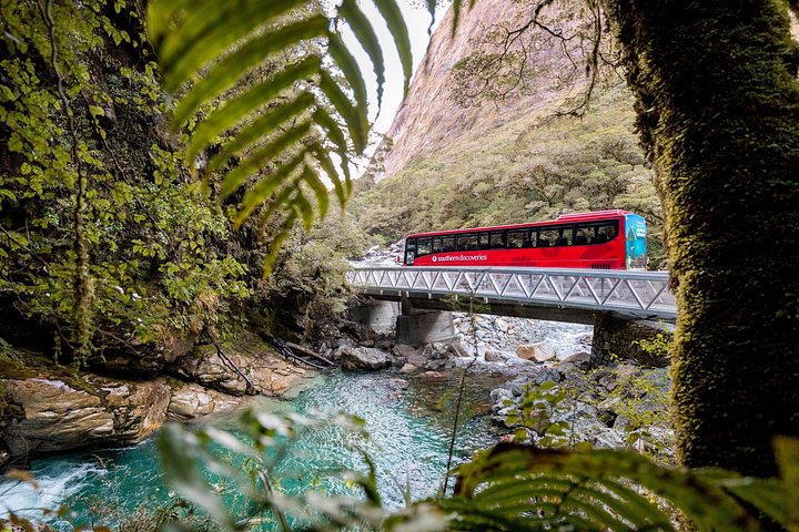 Naturskjønn buss- og cruisetur til Milford Sound fra Queenstown, New Zealand, foto 13 | wizardtrip