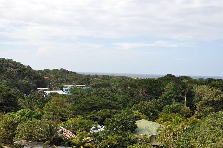 Aanpasbare privé tour van Roatan, Honduras, met eilandattracties en comfortabel vervoer, foto 9 | wizardtrip