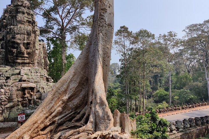 Visite privée en tuk-tuk des temples d'Angkor Wat, Bayon et Ta Prohm à Siem Reap, Cambodge, photo 6 | wizardtrip