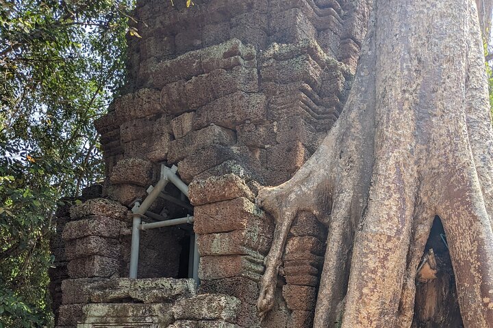 Visite privée en tuk-tuk des temples d'Angkor Wat, Bayon et Ta Prohm à Siem Reap, Cambodge, photo 15 | wizardtrip