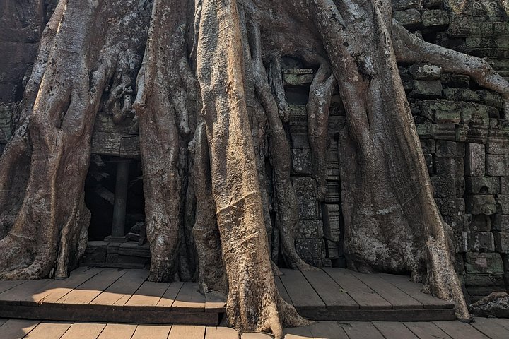 Visite privée en tuk-tuk des temples d'Angkor Wat, Bayon et Ta Prohm à Siem Reap, Cambodge, photo 17 | wizardtrip