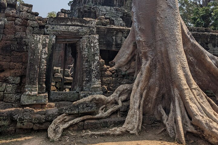 Visite privée en tuk-tuk des temples d'Angkor Wat, Bayon et Ta Prohm à Siem Reap, Cambodge, photo 19 | wizardtrip