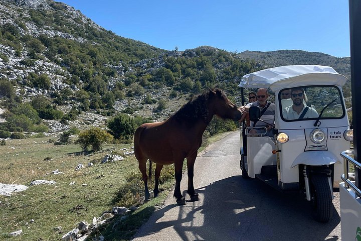 Scenic tuk-tuk tour to the Biokovo Skywalk in Makarska, Croatia, offering stunning cliffside views, photo 9 | wizardtrip