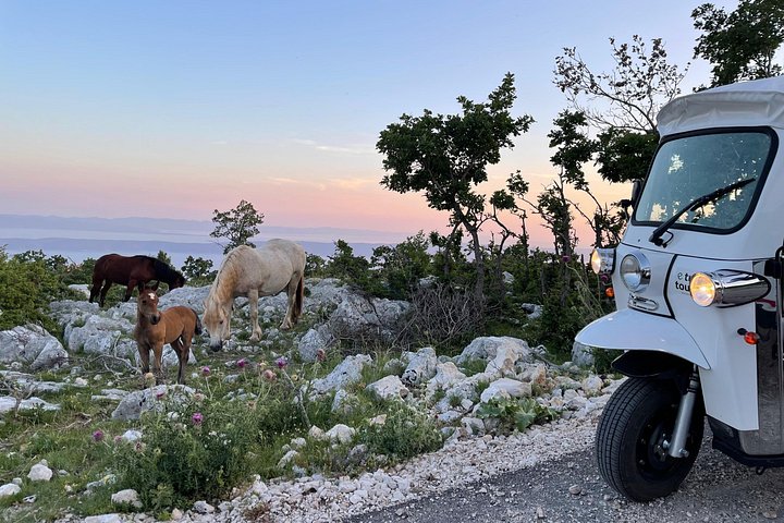 Scenic tuk-tuk tour to the Biokovo Skywalk in Makarska, Croatia, offering stunning cliffside views, photo 14 | wizardtrip