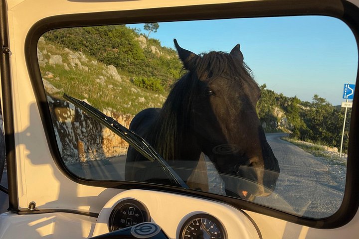 Scenic tuk-tuk tour to the Biokovo Skywalk in Makarska, Croatia, offering stunning cliffside views, photo 18 | wizardtrip