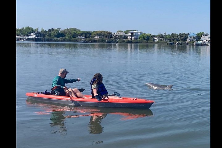 Tour guiado en paddleboard y kayak en Daytona Beach para ver delfines y manatíes, foto 8 | wizardtrip