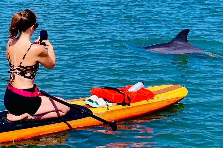 Tour guiado en paddleboard y kayak en Daytona Beach para ver delfines y manatíes, foto 9 | wizardtrip