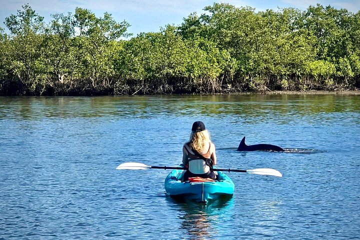 Tour guiado en paddleboard y kayak en Daytona Beach para ver delfines y manatíes, foto 10 | wizardtrip