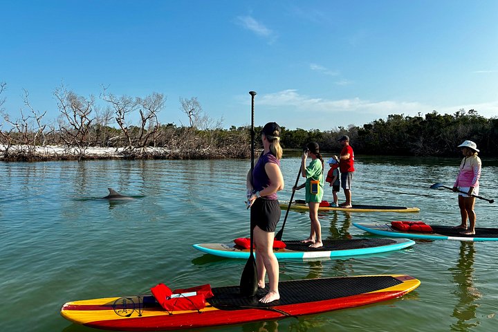 Tour guiado en paddleboard y kayak en Daytona Beach para ver delfines y manatíes, foto 14 | wizardtrip