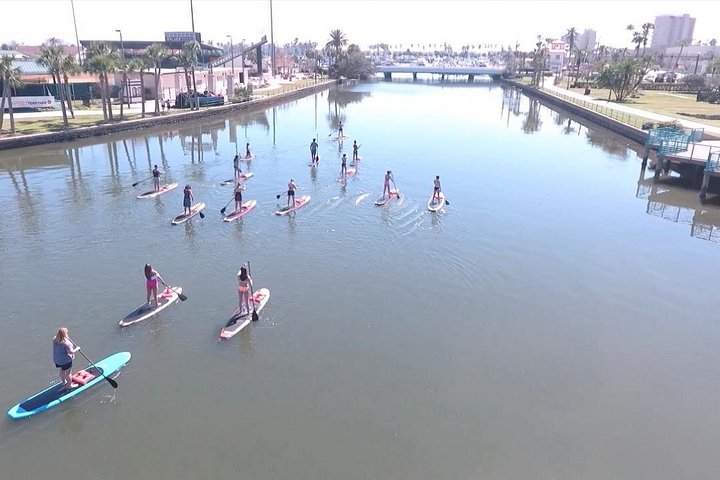 Tour guiado en paddleboard y kayak en Daytona Beach para ver delfines y manatíes, foto 16 | wizardtrip