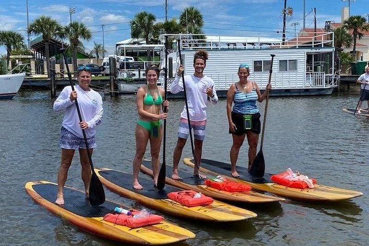 Tour guiado en paddleboard y kayak en Daytona Beach para ver delfines y manatíes, foto 19 | wizardtrip