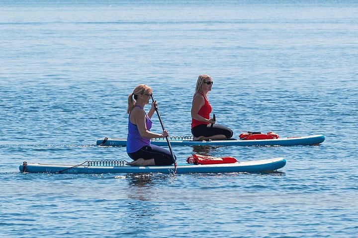 Tour guiado en paddleboard y kayak en Daytona Beach para ver delfines y manatíes, foto 20 | wizardtrip