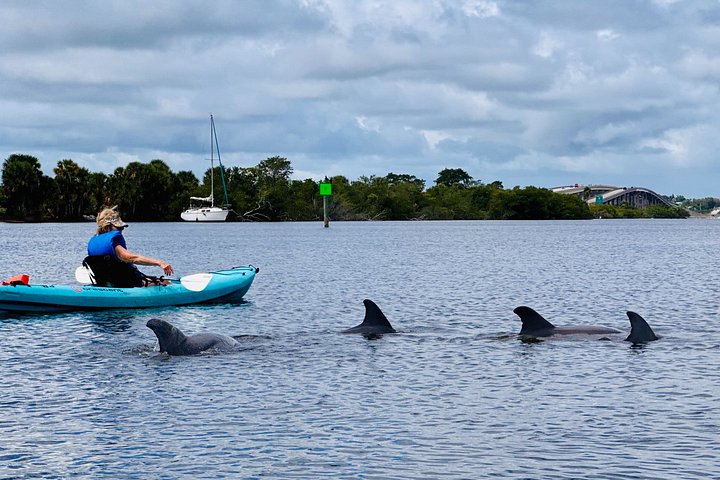 Kajakk-eventyr på Halifax River i Daytona Beach, med observasjon av delfiner og manater, foto 6 | wizardtrip
