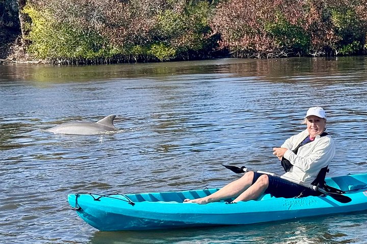 Kajakk-eventyr på Halifax River i Daytona Beach, med observasjon av delfiner og manater, foto 8 | wizardtrip