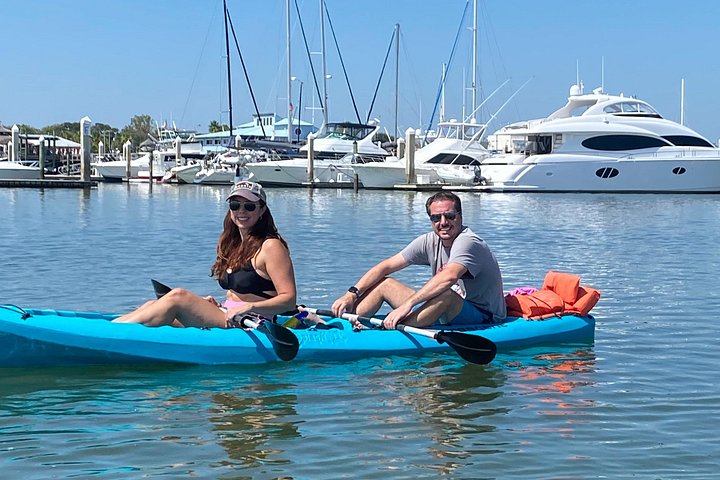 Paddleboard- of kajakavontuur in St. Augustine om dolfijnen, zeekoeien en zeeschildpadden te zien, foto 6 | wizardtrip
