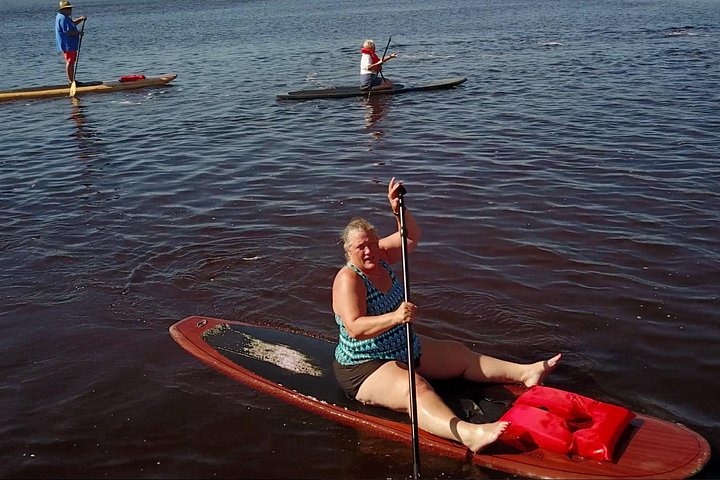 Paddleboard- of kajakavontuur in St. Augustine om dolfijnen, zeekoeien en zeeschildpadden te zien, foto 7 | wizardtrip