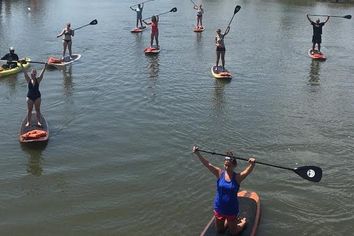 Paddleboard- of kajakavontuur in St. Augustine om dolfijnen, zeekoeien en zeeschildpadden te zien, foto 10 | wizardtrip