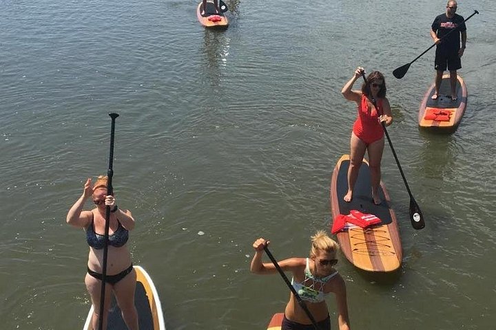 Paddleboard- of kajakavontuur in St. Augustine om dolfijnen, zeekoeien en zeeschildpadden te zien, foto 11 | wizardtrip