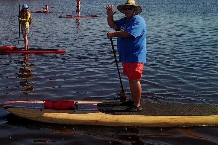 Paddleboard- of kajakavontuur in St. Augustine om dolfijnen, zeekoeien en zeeschildpadden te zien, foto 12 | wizardtrip
