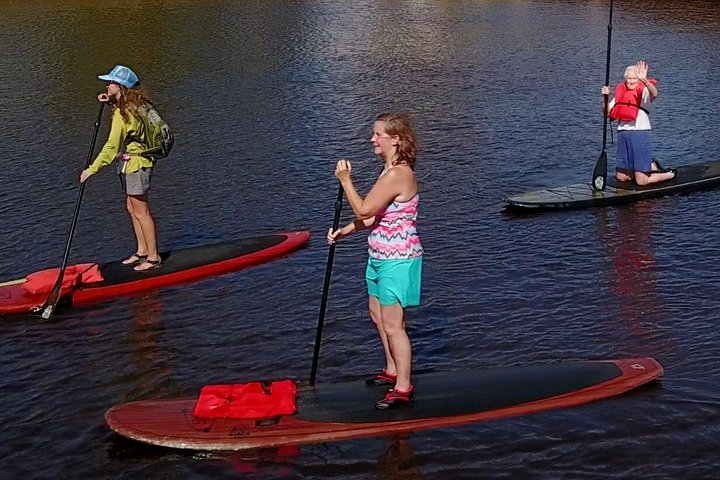 Paddleboard- of kajakavontuur in St. Augustine om dolfijnen, zeekoeien en zeeschildpadden te zien, foto 13 | wizardtrip