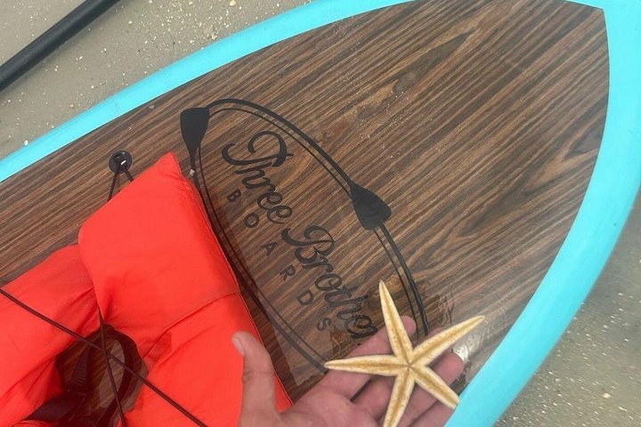 Paddleboard- of kajakavontuur in St. Augustine om dolfijnen, zeekoeien en zeeschildpadden te zien, foto 14 | wizardtrip