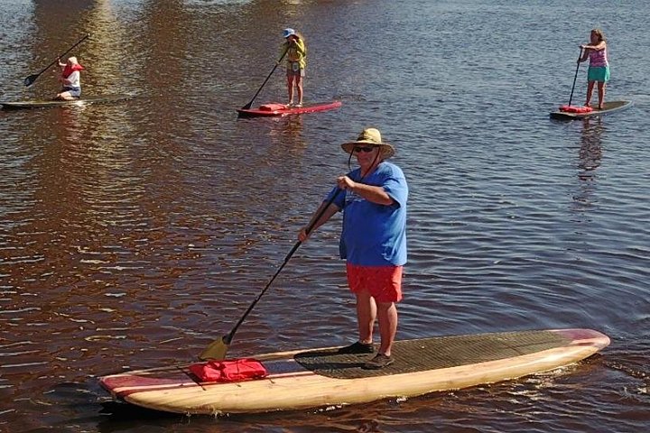 Paddleboard- of kajakavontuur in St. Augustine om dolfijnen, zeekoeien en zeeschildpadden te zien, foto 15 | wizardtrip