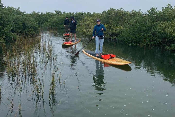 Paddleboard- of kajakavontuur in St. Augustine om dolfijnen, zeekoeien en zeeschildpadden te zien, foto 20 | wizardtrip