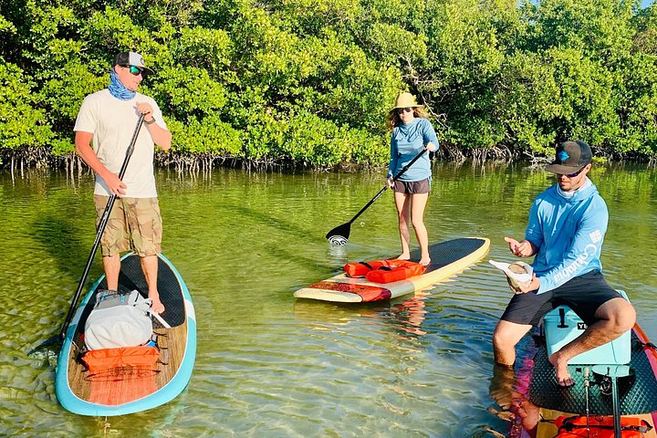 Geniet van een dolfijn- en lamantijn-avontuur per kajak of paddleboard in Fort Myers, foto 11 | wizardtrip