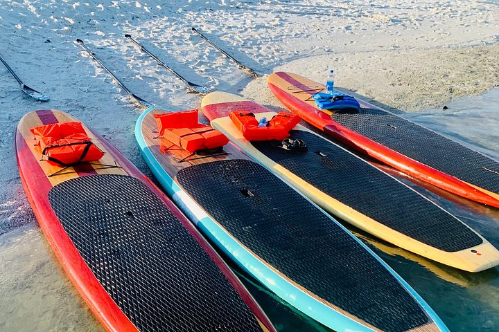 Geniet van een dolfijn- en lamantijn-avontuur per kajak of paddleboard in Fort Myers, foto 15 | wizardtrip