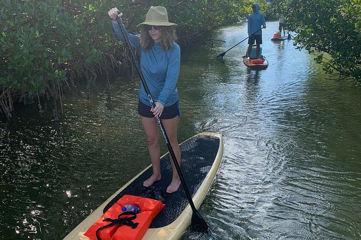Geniet van een dolfijn- en lamantijn-avontuur per kajak of paddleboard in Fort Myers, foto 19 | wizardtrip