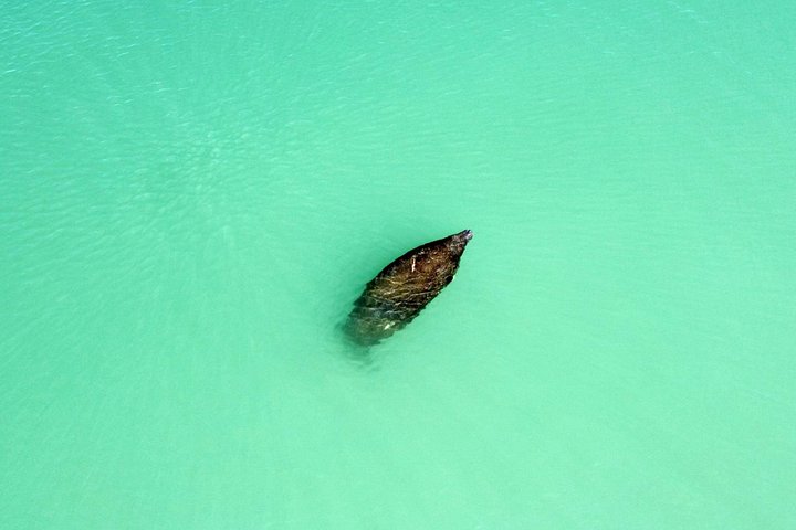 Geniet van een dolfijn- en lamantijn-avontuur per kajak of paddleboard in Fort Myers, foto 21 | wizardtrip