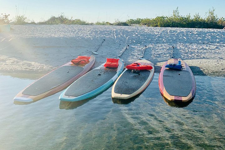 Geniet van een dolfijn- en lamantijn-avontuur per kajak of paddleboard in Fort Myers, foto 24 | wizardtrip