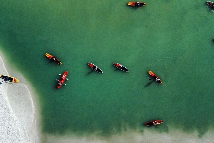 Geniet van een dolfijn- en lamantijn-avontuur per kajak of paddleboard in Fort Myers, foto 28 | wizardtrip