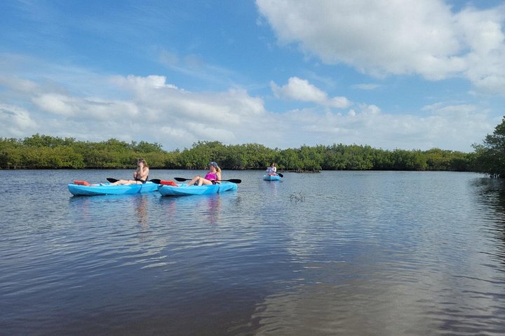 Kajak- och SUP-tur i New Smyrna för att se delfiner, manater och lokalt djurliv, foto 6 | wizardtrip