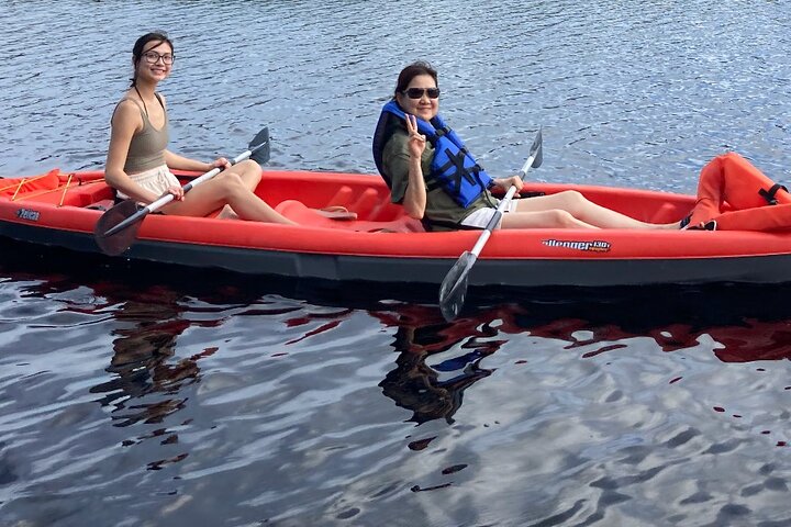 Kajak- och SUP-tur i New Smyrna för att se delfiner, manater och lokalt djurliv, foto 10 | wizardtrip