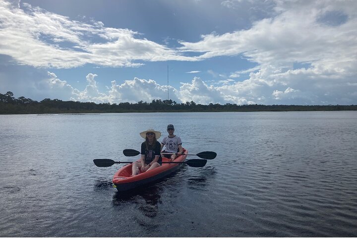 Kajak- och SUP-tur i New Smyrna för att se delfiner, manater och lokalt djurliv, foto 13 | wizardtrip