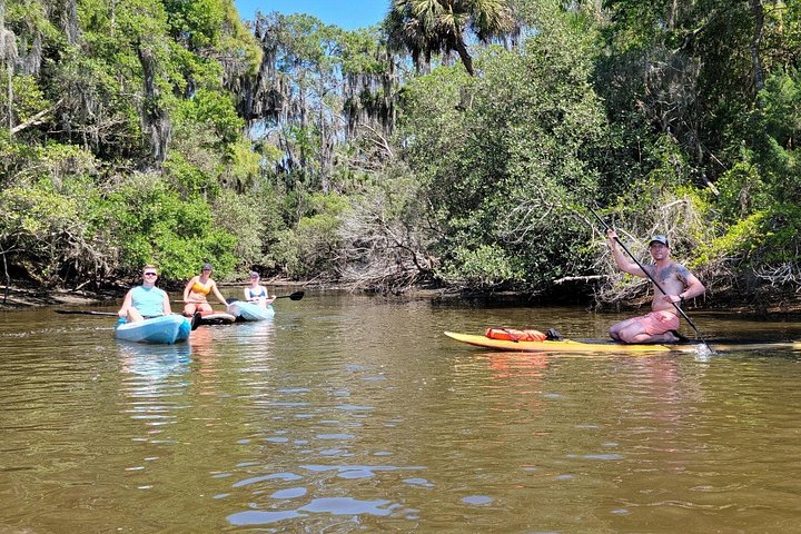 Kajak- och SUP-tur i New Smyrna för att se delfiner, manater och lokalt djurliv, foto 15 | wizardtrip