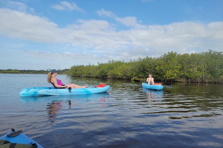 Kajak- och SUP-tur i New Smyrna för att se delfiner, manater och lokalt djurliv, foto 24 | wizardtrip