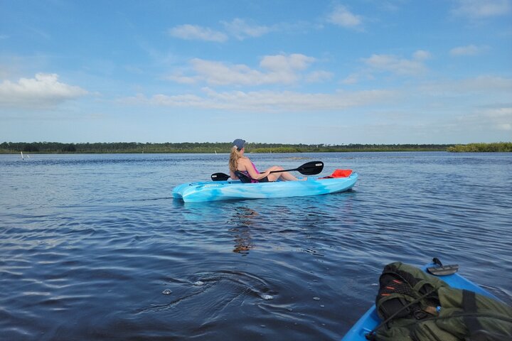 Kajak- och SUP-tur i New Smyrna för att se delfiner, manater och lokalt djurliv, foto 29 | wizardtrip