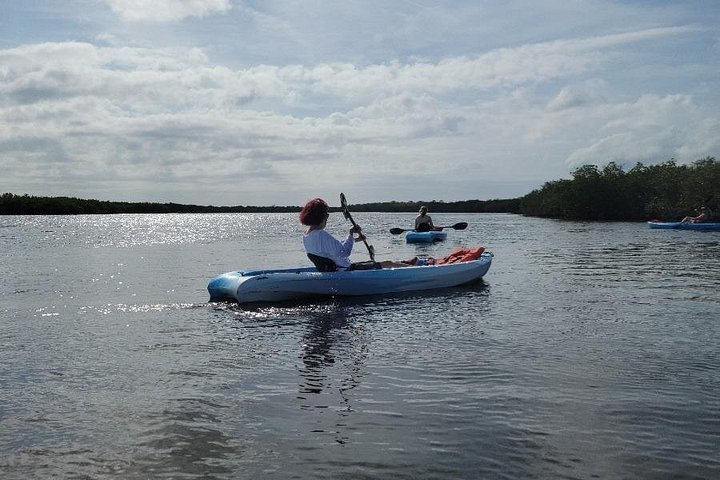 Kajak- och SUP-tur i New Smyrna för att se delfiner, manater och lokalt djurliv, foto 30 | wizardtrip