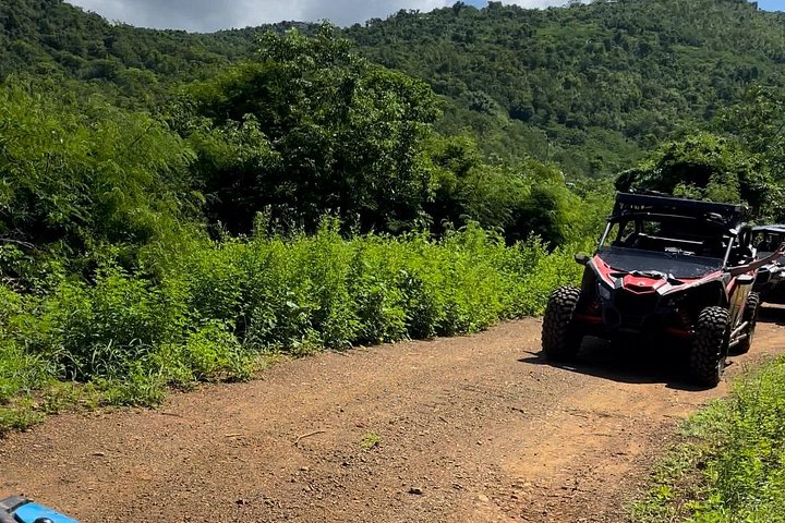 Vivez une aventure exaltante en UTV sur les sentiers panoramiques et le terrain accidenté de St. Thomas, photo 6 | wizardtrip