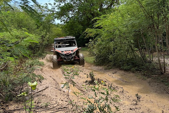 Vivez une aventure exaltante en UTV sur les sentiers panoramiques et le terrain accidenté de St. Thomas, photo 29 | wizardtrip