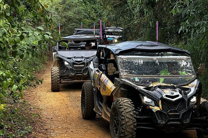 Vivez une aventure exaltante en UTV sur les sentiers panoramiques et le terrain accidenté de St. Thomas, photo 50 | wizardtrip