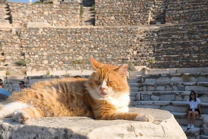 Tour guiado privado de la antigua Éfeso y sitios históricos cerca de Kusadasi, Turquía, foto 19 | wizardtrip