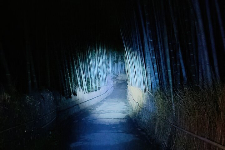 Visite nocturne dans la forêt de bambous sombre d'Arashiyama à Kyoto, Japon, avec des légendes étranges, photo 6 | wizardtrip