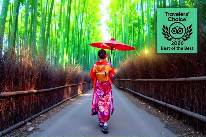 Kyoto Arashiyama Walking Tour: Bamboo, Monkeys, Garden & Secrets | wizardtrip
