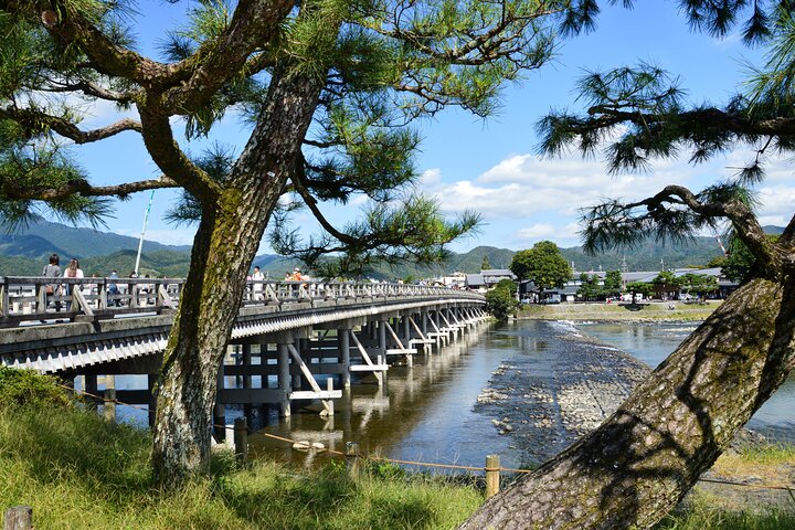 Arashiyama wandeltocht in Kyoto met het bamboebos, de Tenryu-ji tempeltuin, de Togetsukyo-brug en het apenpark, foto 6 | wizardtrip